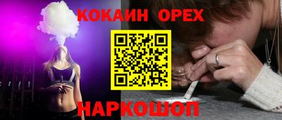 МДПВ Гатчина