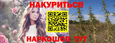 МДПВ Гатчина