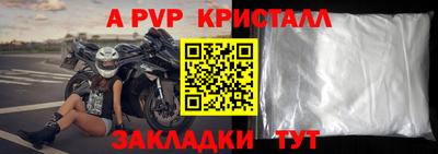 индика Сланцы