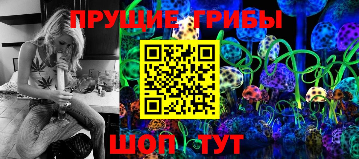 Галлюциногенные грибы Psilocybe Новотроицк