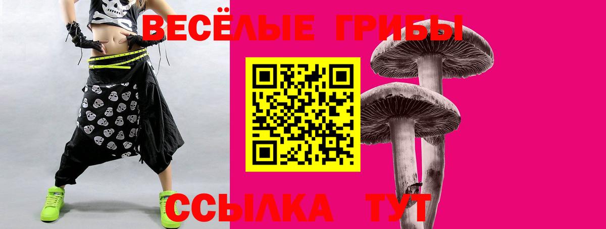 Новотроицк  Псилоцибиновые грибы мицелий  Вход с VPN 